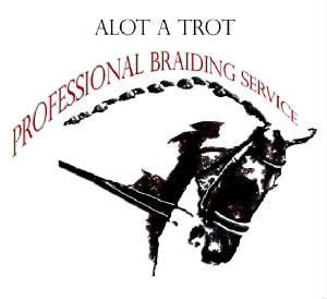 braiding1copy.jpg