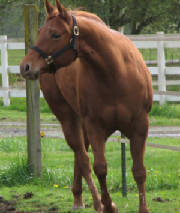 img4064.jpg