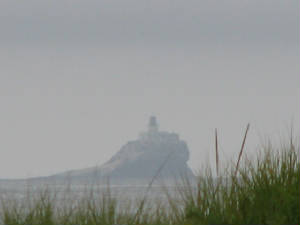 img_7791.jpg