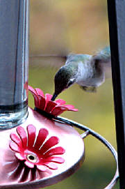 img_9189copy2.jpg