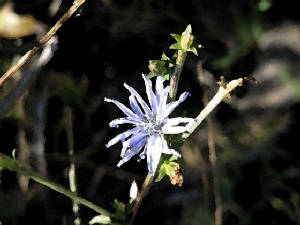 img_9399copy.jpg