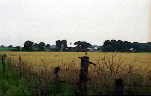 untitled-1copy.jpg