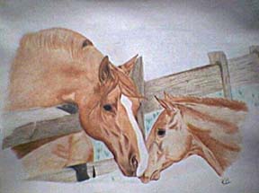 horses1.jpg