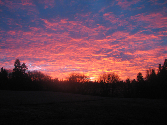 img2612copy.jpg
