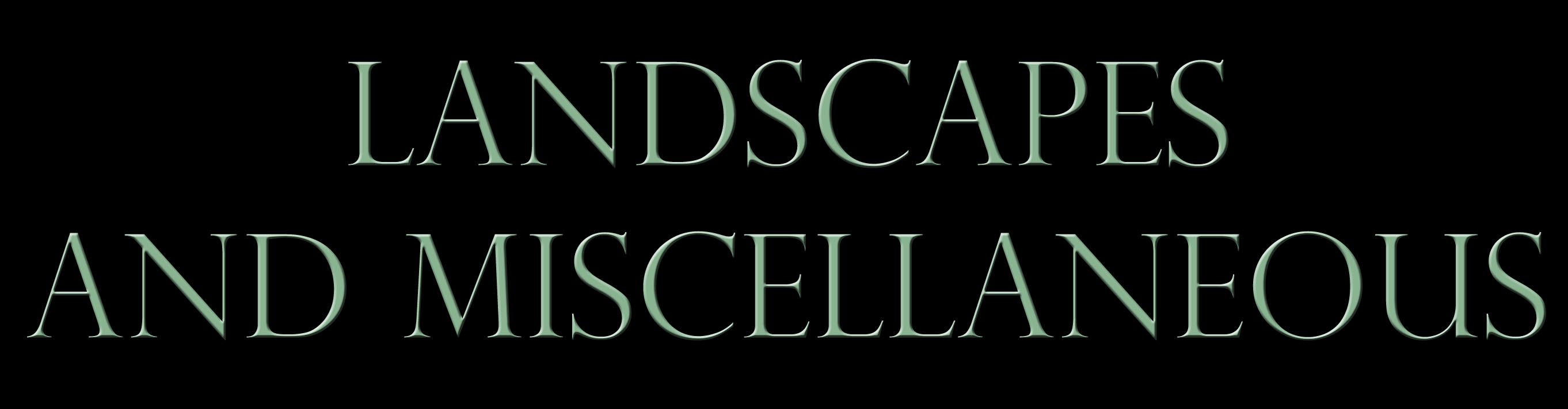 landscapescopy.jpg